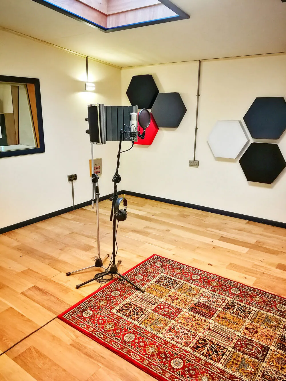 Microphone for recording vocals