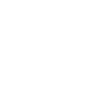 Link icon